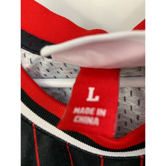 Mitchell & Ness 1995-96 Scottie Pippen Bulls Throwback Jersey Large New - Picture 5 of 8